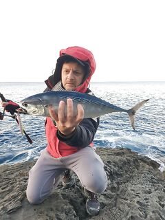 Анталия пилькеры: местные бренды против японцев на скалах и их живучесть