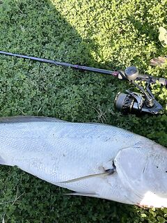 Анталия офшор без корма: рыба подходит эпизодами, рассчитывать рано