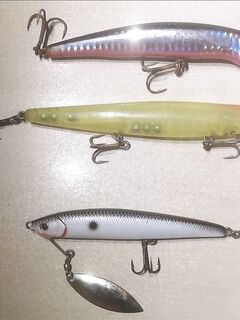 Анталия летом: воблеропопперы и тонущий с лепестком, тесты на море