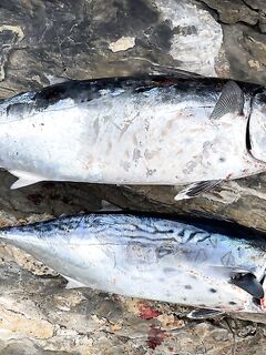 Морская рыбалка на скалах Анталии: сильная волна и ловля с оглядкой