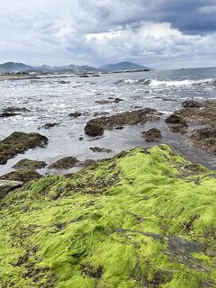 Морская рыбалка на диком пляже Анталии: ветер, воблеры и лаврак 3 кг