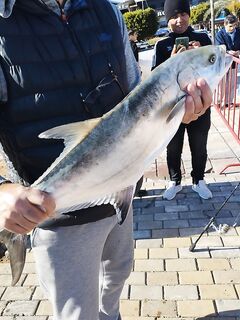 Анталия фотоотчет со скал: спиннинг, джиг и то, что удалось наснимать