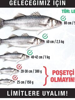 Морская рыбалка на скалах Анталии: проверяем прогноз, фото и выходы