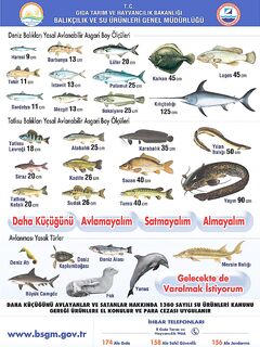 Анталия - схема 2019: актуальна ли оснастка и рабочие точки сегодня