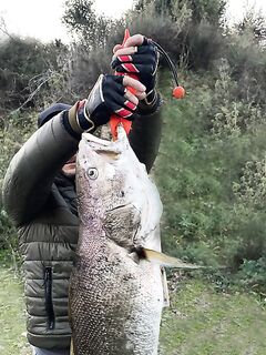 Анталийское побережье: штиль и отлив выключили клев, тунец ушел с прибрежной бровки