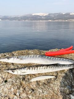 Анталья, рассветная сессия спиннингом: вышел в первые сумерки и не прогадал