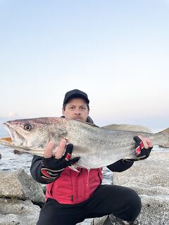 Анталия, предрассветные лавраки и утренний горбыль на джиг-силикон по свалу