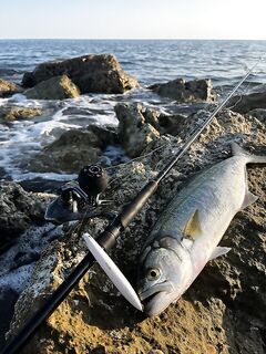 Морская рыбалка в Анталии: вечерний спиннинг по саргошу и прибрежной мелочи