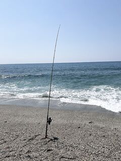 Каргыджак: ловля закидушка у берега, бомбарда и рассветные проводки, спиннинг, воблеры