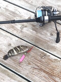 Кумкой: ловля воблер у берега, спиннинг и рассветные проводки, микроджиг, пилькеры