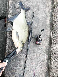 Аланья, Анталийское побережье: трофейная море у берега, спиннинг и рассвет, воблеры, пилькеры