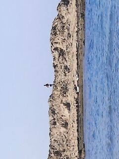 Анталья, пляжный день без клёва и культурные контрасты вокруг