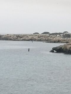 Сентябрь-октябрь сказка: каменные наплывы ушли под воду, но клев остался
