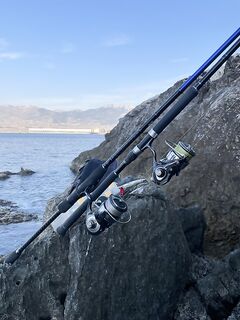 Анталья, рассветный выход в ноль: паламут на Кипре ловят, а тут тишина