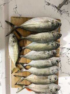 Анталья, пляж у дома: каранкс на пилькер 6,5 г бежевого цвета