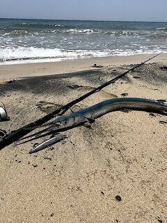 Анталья: «Буратино» 130 NOD - нормальный турецкий размер