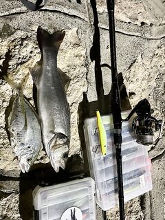 Анталья, вечерняя проверка точки - штиль по поклёвкам, двинусь завтра