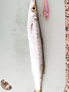 Марина Динек, Анталийское побережье - турна гуляет и людей меньше