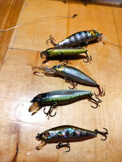 Про флюр и поводок у камней, зубы и рельеф и что лучше взять