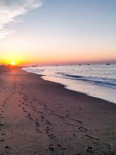 Морская рыбалка у закрытого прохода: волкеры и пилькеры по мальку