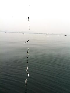 Пара дополнительных фото: фиксирую детали снастей