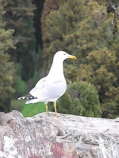 «Вот такой Мартын»: отмечаю эпизод в ленте