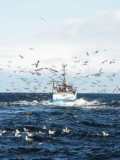 «Вот так вот»: завершение серии снимков