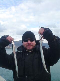 Сарганчики пошли: серия с берега