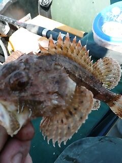 Вчерашний выезд: планы сорвались — дочка приболела