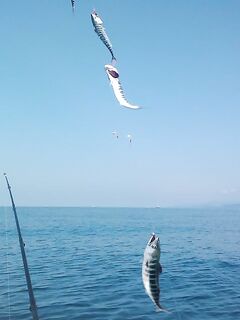 Очередной выход в море: пиламида в активе