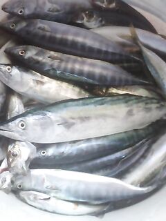 Пиламида 4 кг против 3: откапывали выход полчаса, река обмелела