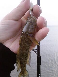 Фото с морской рыбалки: оперативные кадры с борта