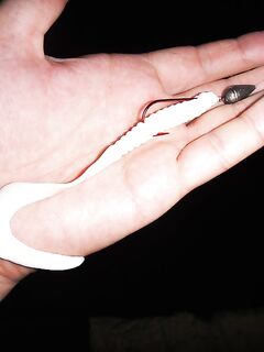 Новороссийск — крупные ерши капризны: белый «мистер твистер» выигрывает у «вкусных»