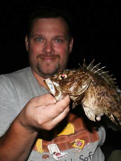 Скорпена-«директор»: попадаются солидные экземпляры — осторожность обязательна