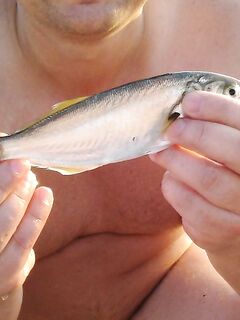 Архипо-Осиповка — луфарь среди купающихся, скорпены мало, бычки и ставридка стабильно