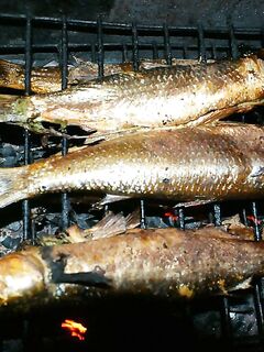 Коса Тузла, керченский пролив — август: ловили неплохо, готовим фильм и фото