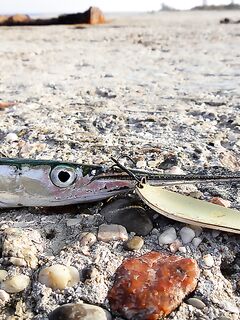 Черное море: фотохроника последнего месяца — разные виды, разный берег и погода