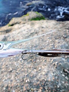 Черное море — кефаль на колебалку: редкий, но приятный прилов на блесны