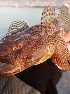 Совет по фото трофеев: как кадрировать, чтобы смотреть приятнее