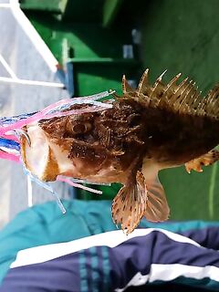 Анапа, ноябрь: ведро ершей и несколько катранов — камбала не подошла