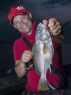 Воблеры тоже работают: подтверждаю по месту и времени