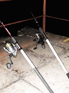 Крым, «лисы» с 21 до 24: раздача коротким окном и пара отпущенных