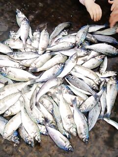 Утро штилевое — синявка как с картинки, гроза успела за спиной