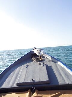 Болгария, Несебр: рыбалка с местным дедом и вечерняя ставридка с пирсов