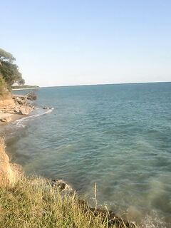 Серая Баба: карась «жрал» тиогу — помог жесткий «джавастик», в прилове горбыль