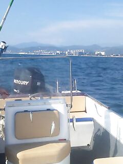 Адлер, напротив вокзала: ставрида стабильно, по пеламиде вышла селедка