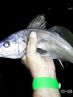 Судак, под крепостью: вечерний рокфиш и бойкий горбылик около килограмма