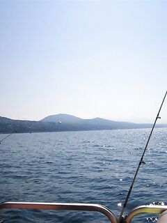 Сочи, прогулка на катамаране: самодур, ставридка и «дракончик»