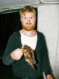 Анапа, Пионерский: вместо лиманов — море; дип-кренк по скорпене