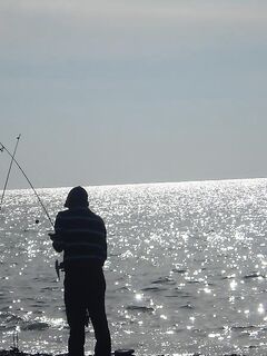 Сочи, немного фото береговой рыбалки — сезонный набор и виды